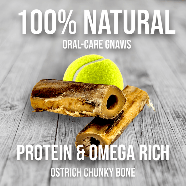 Ostrich Chunky Bones. Long-lasting, Natural Dog Gnaw Treat by Savannah Pet Food