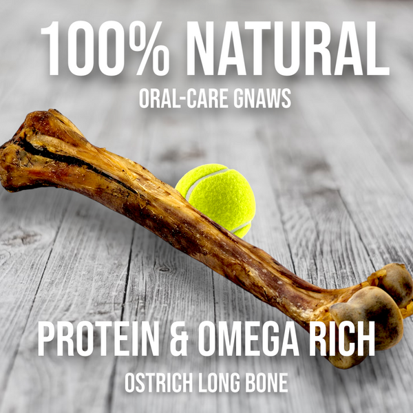 Ostrich Long Bone. Long-lasting, Natural Dog Gnaw Treat by Savannah Pet Food