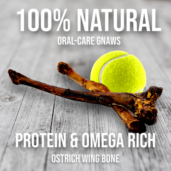 Ostrich Wing Bone. Long-lasting, Natural Dog Gnaw Treat by Savannah Pet Food