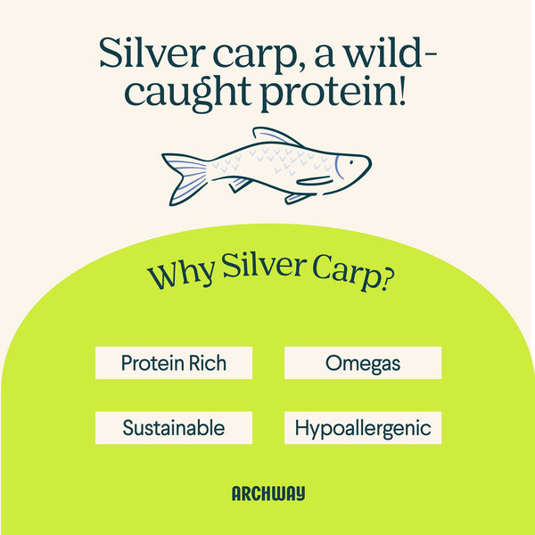 Silver Carp and Sweet Potato