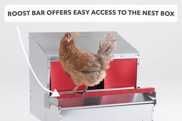 Small (24") Reversible Rollout Nest Box (Up to 20 Hens) - Free Shipping