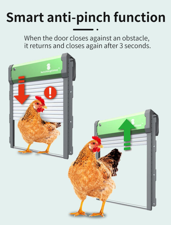 Solar Powered Automatic Chicken Coop Door with Remote