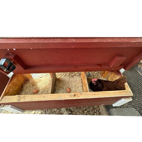 Medium Chicken Coop - Up to 10 Chickens