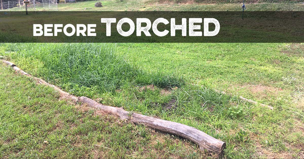 Torched | Weed Killer